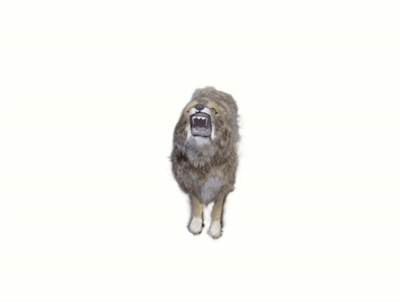 Background removal